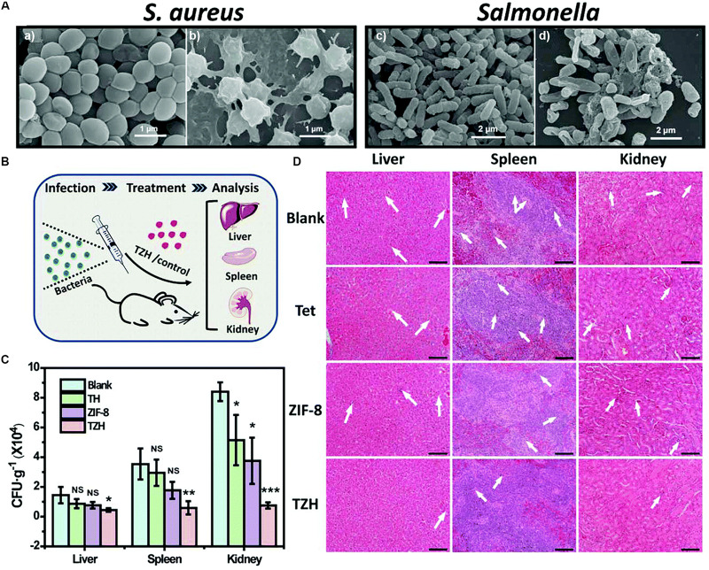 FIGURE 2