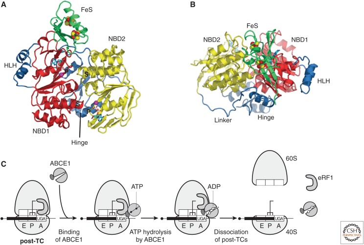 Figure 3.