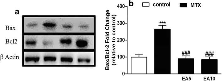 Fig. 5