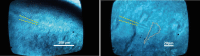 Figure 10.