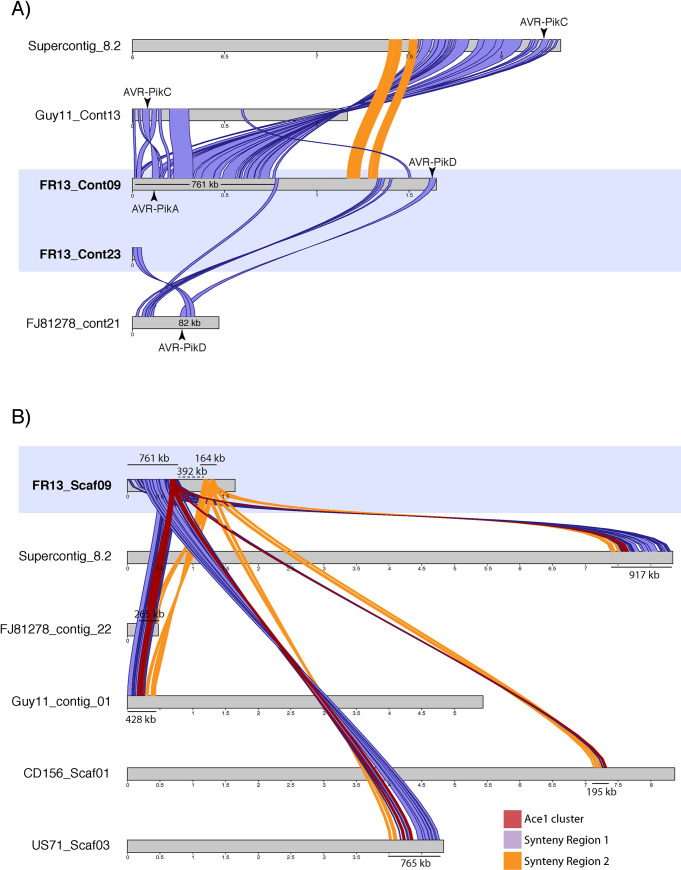 Fig 6