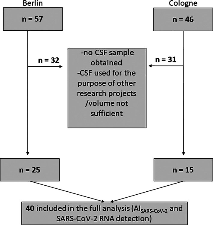 FIGURE 1