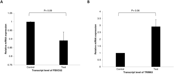 Supplementary Figure 3