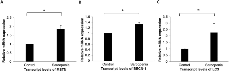 Figure 4