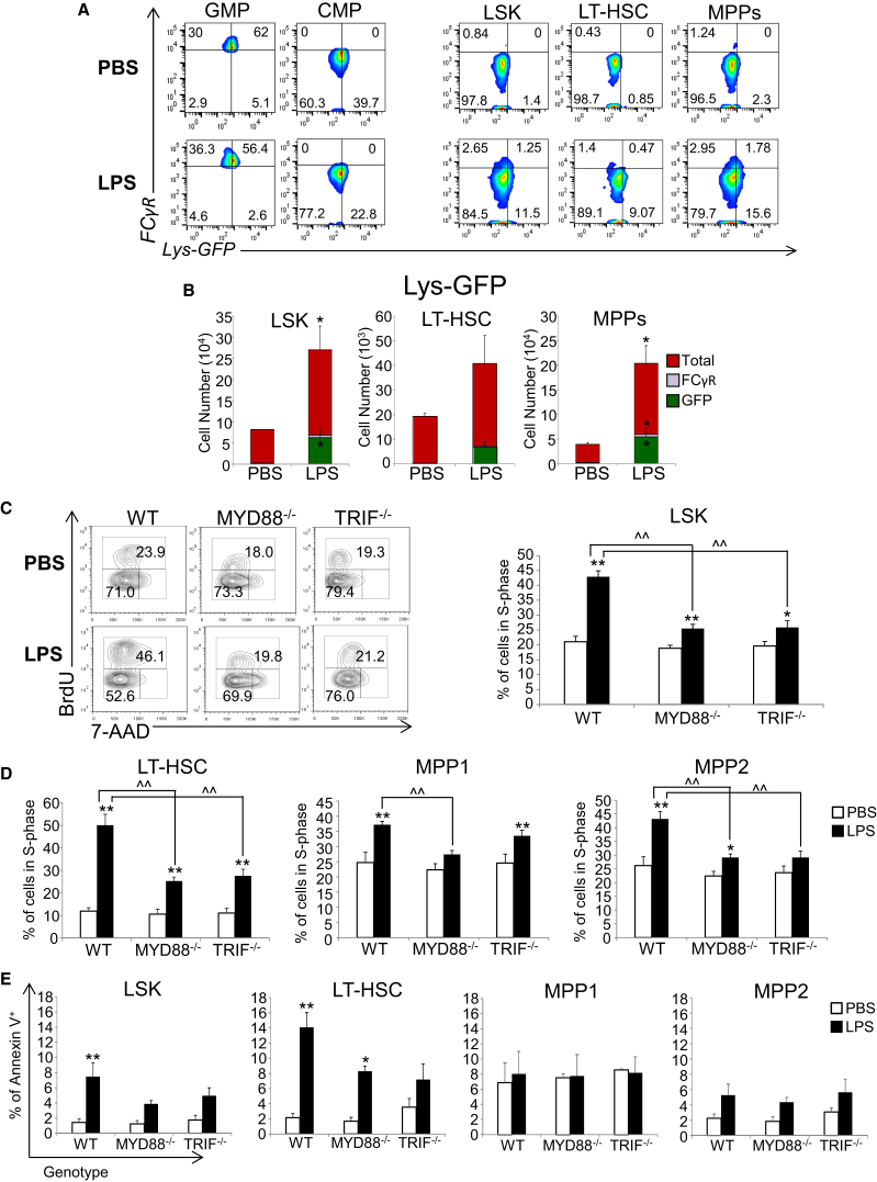 Figure 2