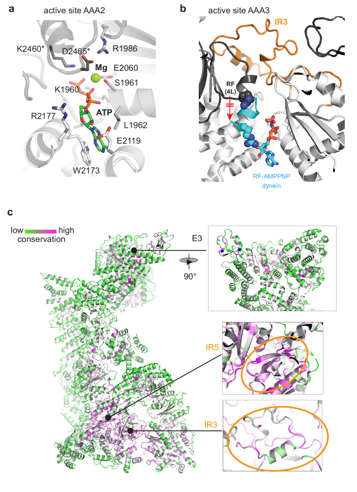 Figure 2—figure supplement 2.