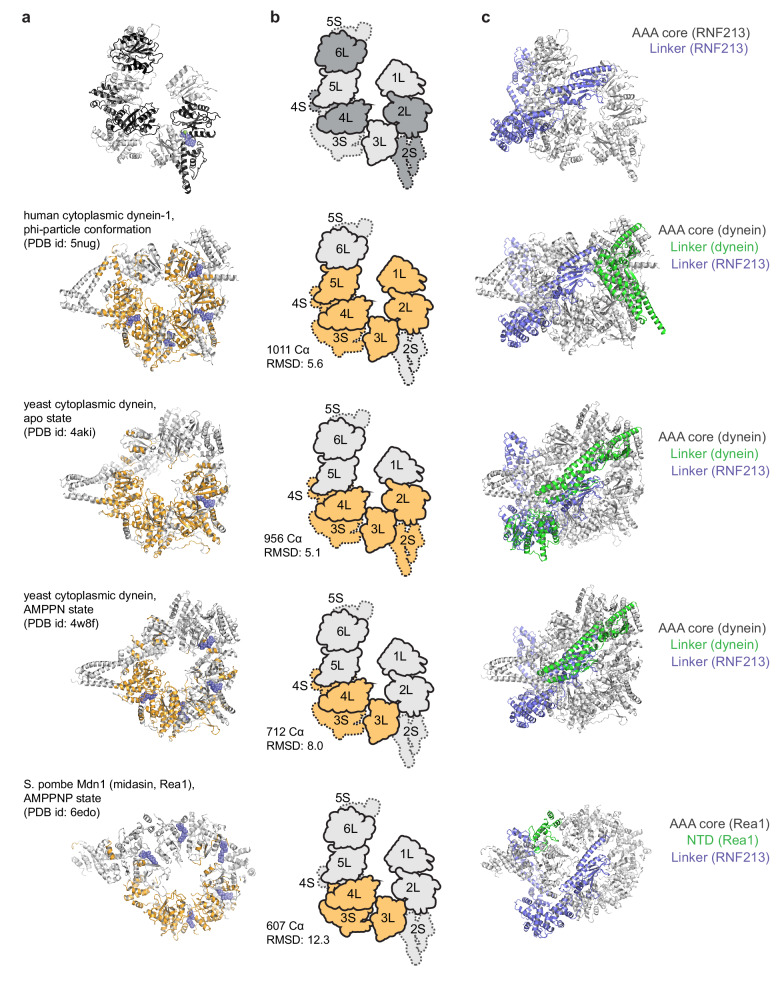 Figure 2—figure supplement 1.