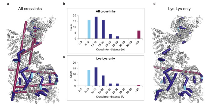 Figure 1—figure supplement 4.