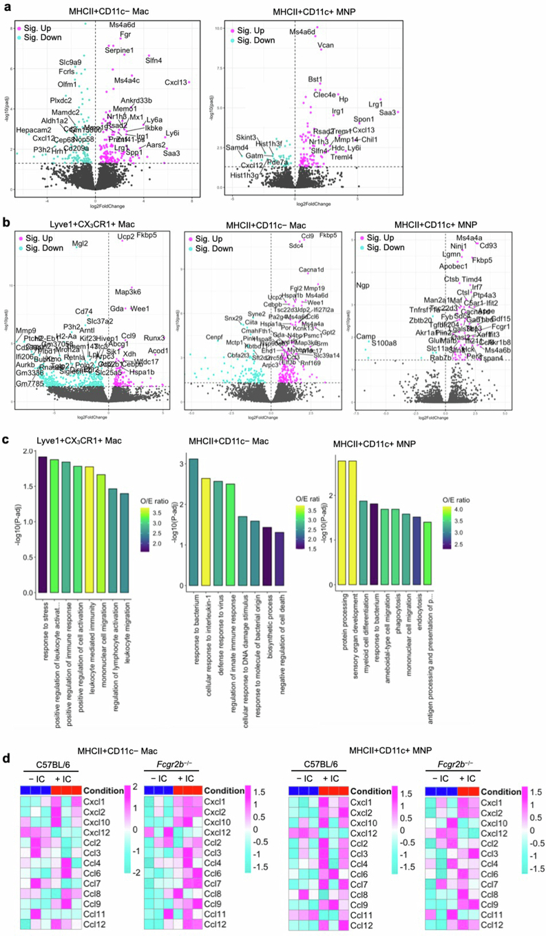 Extended Data Fig. 4