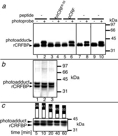 Fig 1.