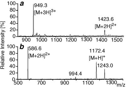 Fig 4.