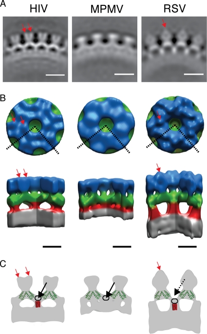 FIG. 2.