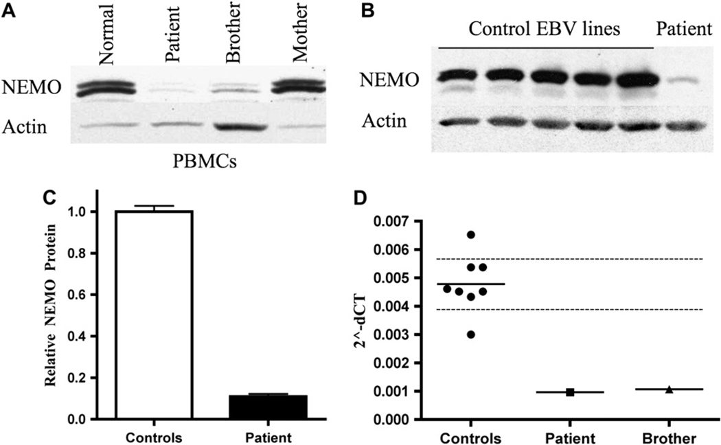 FIG 2