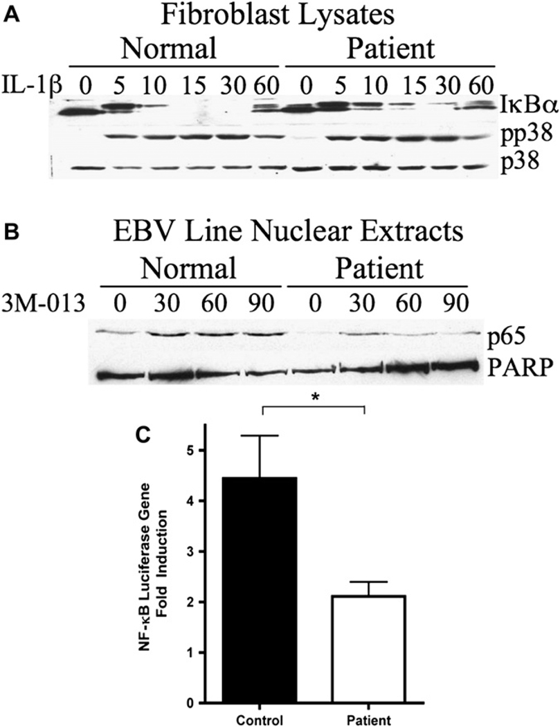 FIG 4