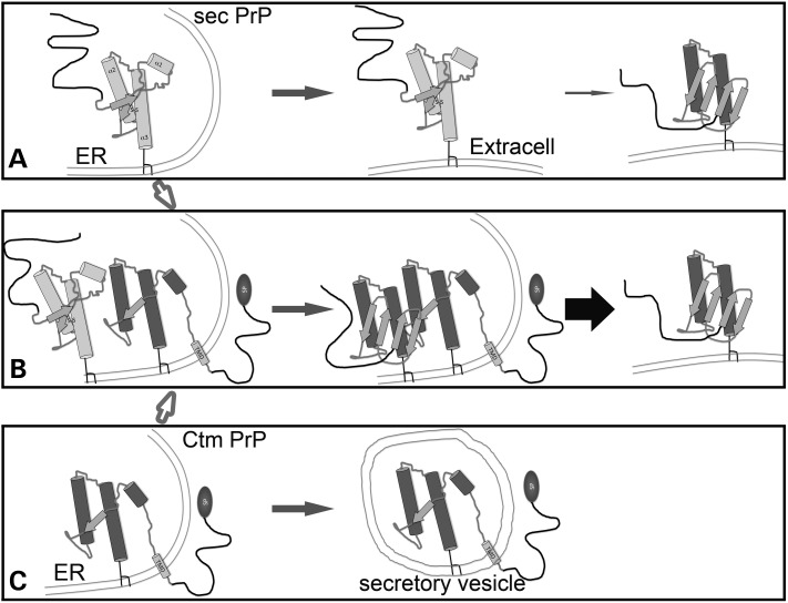 Figure 10.