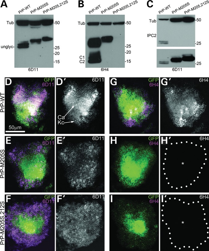 Figure 3.