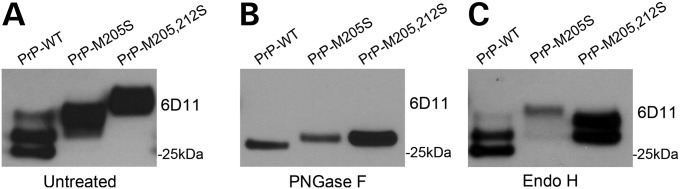 Figure 1.