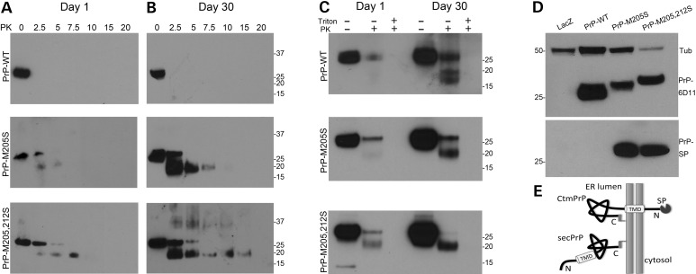 Figure 4.