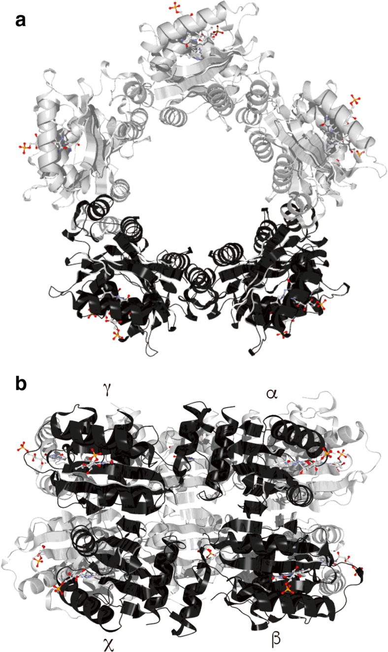 Fig. 4