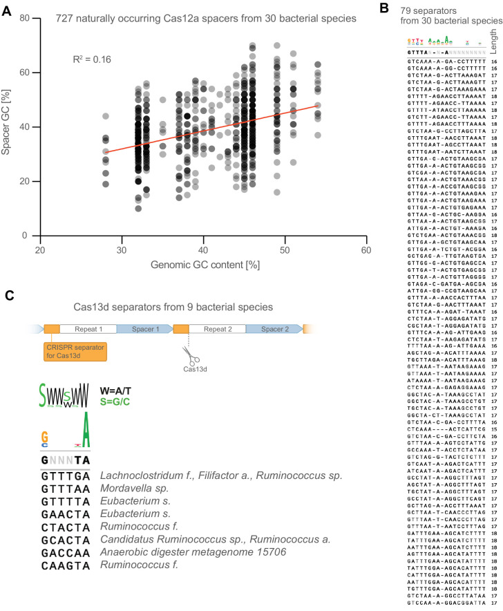 Figure 2—figure supplement 1.