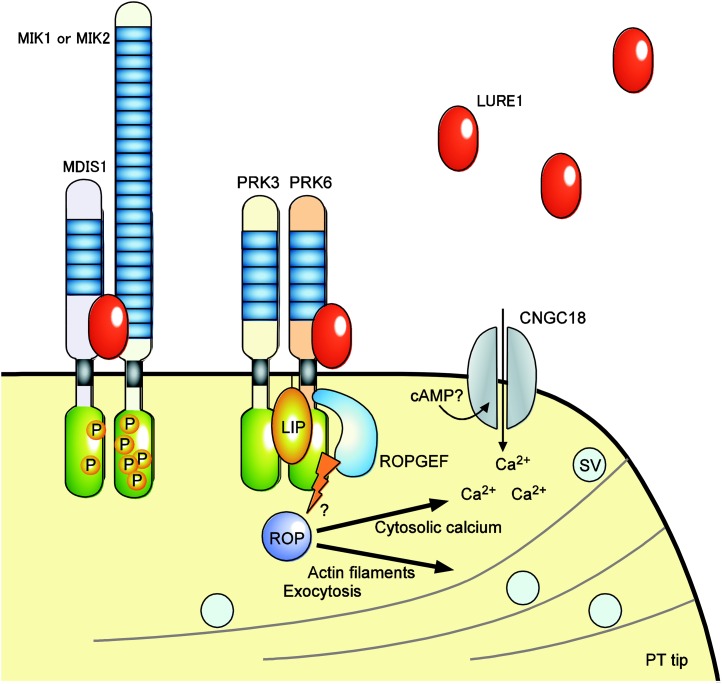 Figure 2.