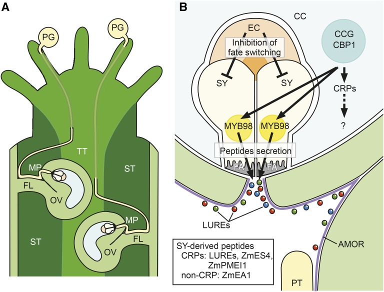 Figure 1.