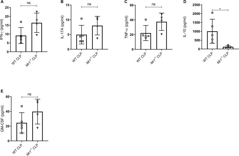 Figure 4—figure supplement 2.