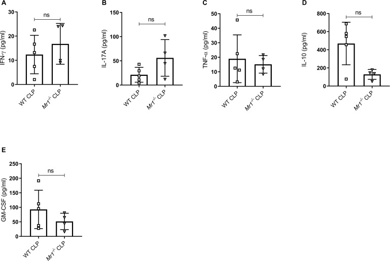 Figure 4—figure supplement 3.