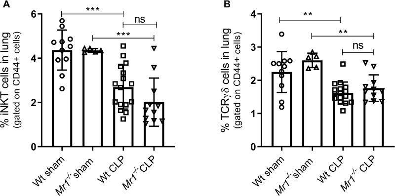 Figure 5—figure supplement 2.