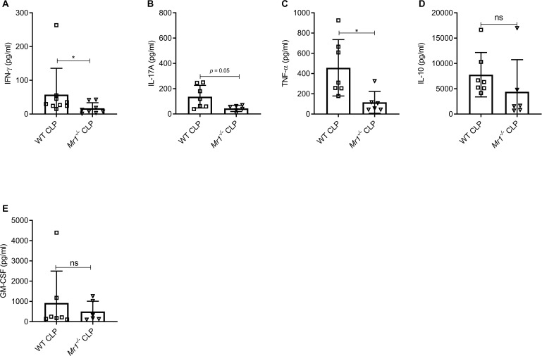 Figure 4—figure supplement 1.