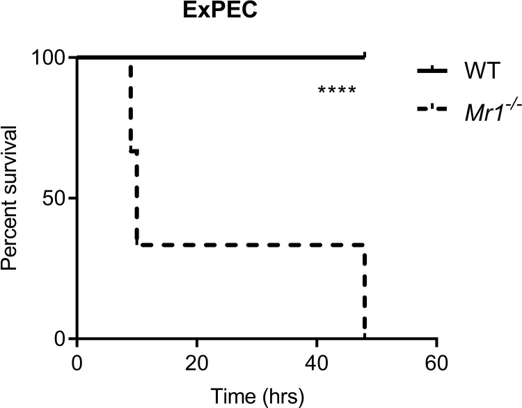 Figure 3—figure supplement 1.