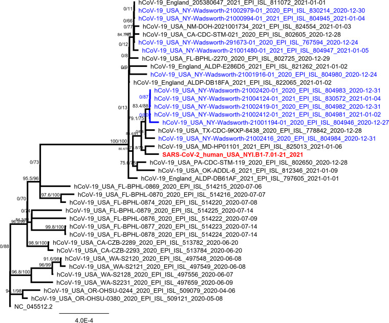 FIG 1