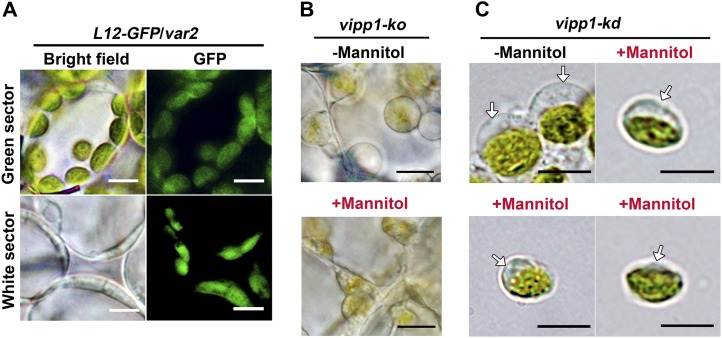 Figure 3.