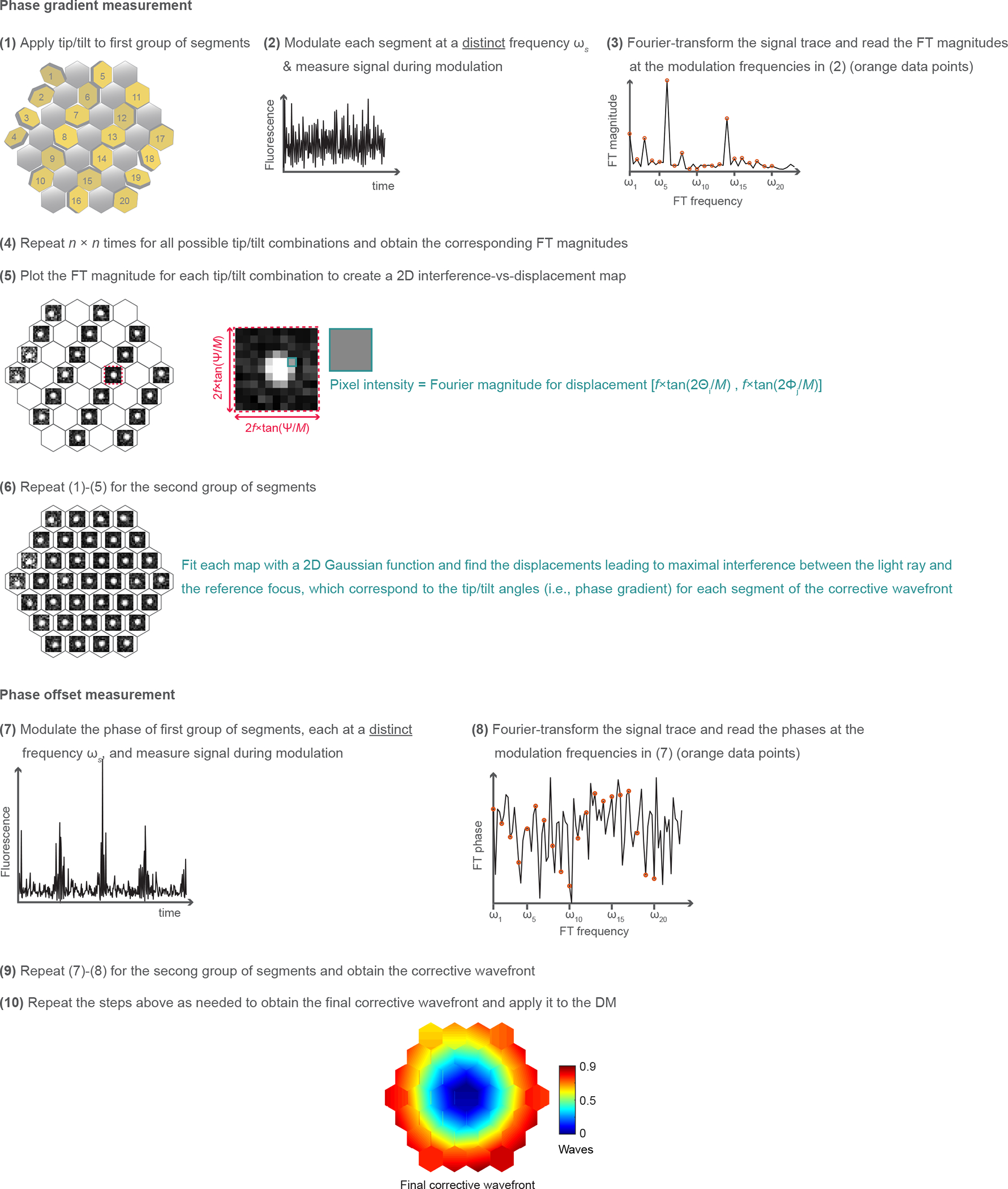 Extended Data Fig. 1 |