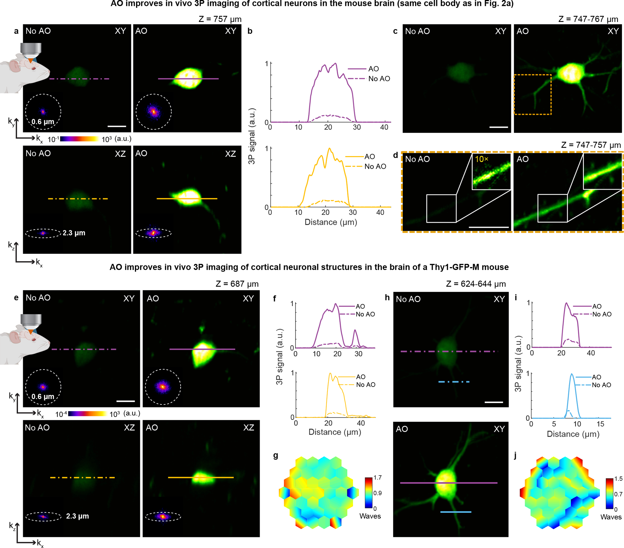 Extended Data Fig. 6 |