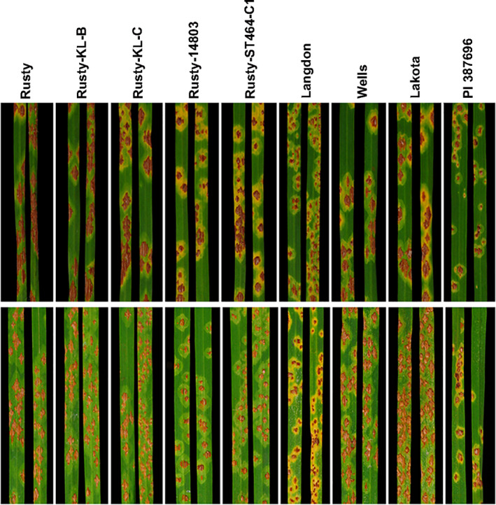 Figure 5