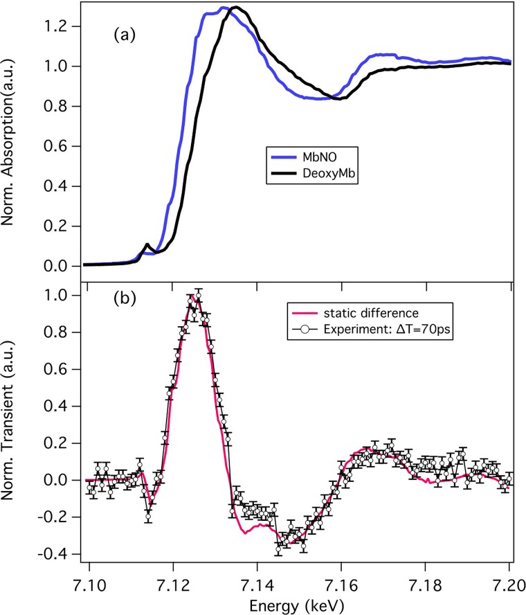 FIG. 2.