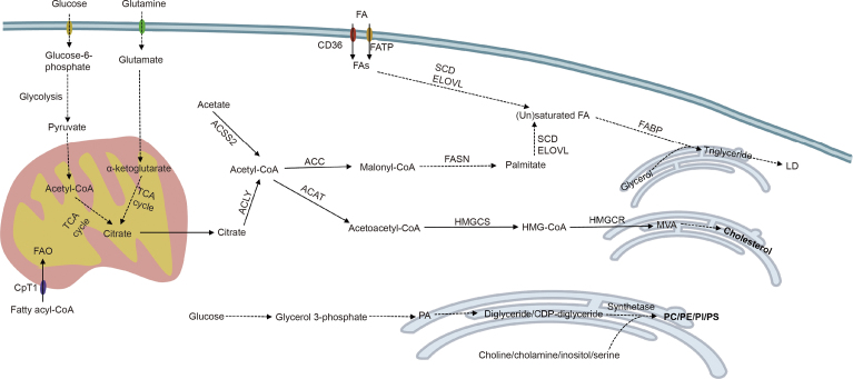 Fig. 2