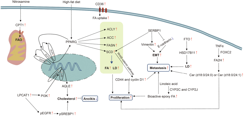 Fig. 6