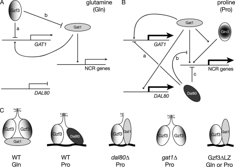 FIG. 10.