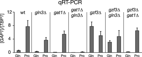 FIG. 6.