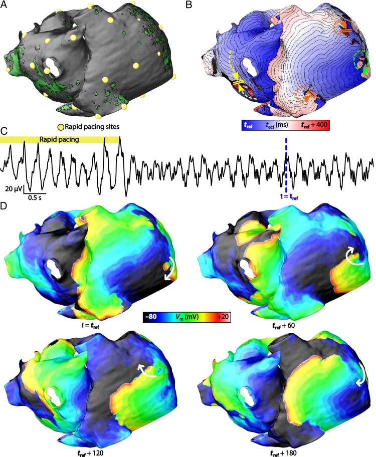 Figure 2