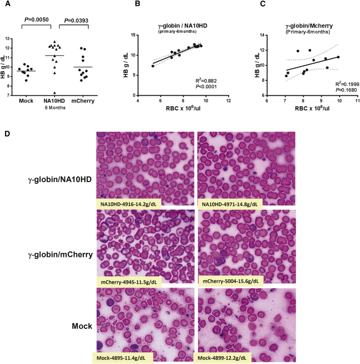 Figure 3