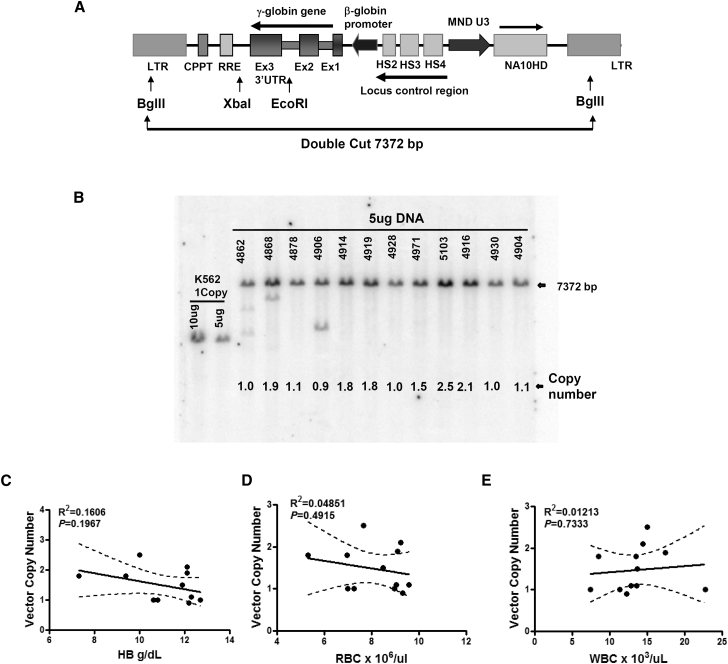 Figure 5