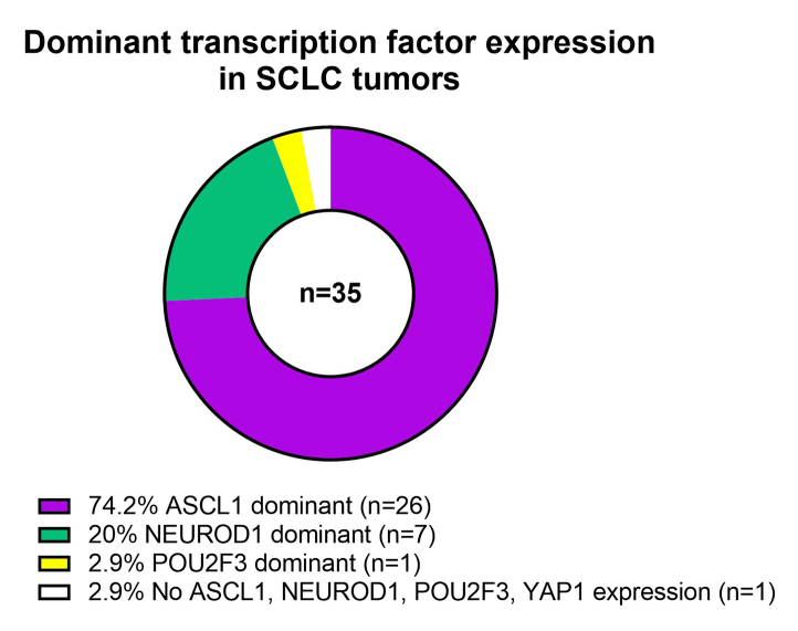 Supplementary Data 6