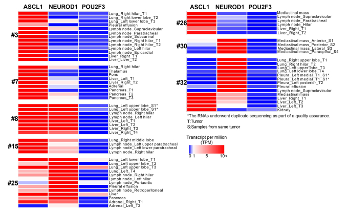 Supplementary Data 7