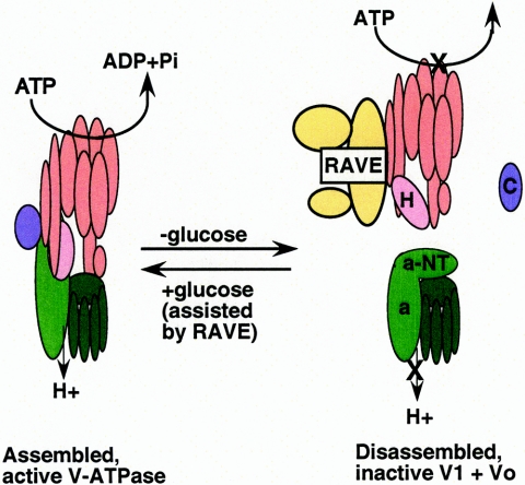 FIG. 3.