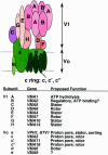 FIG. 1.