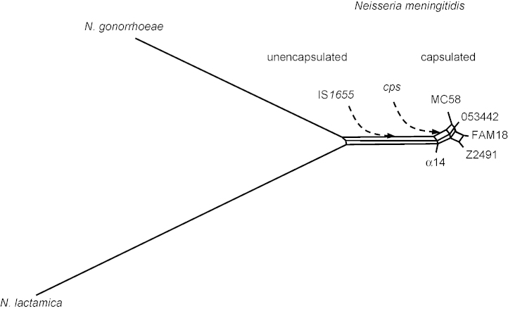 Fig. 5