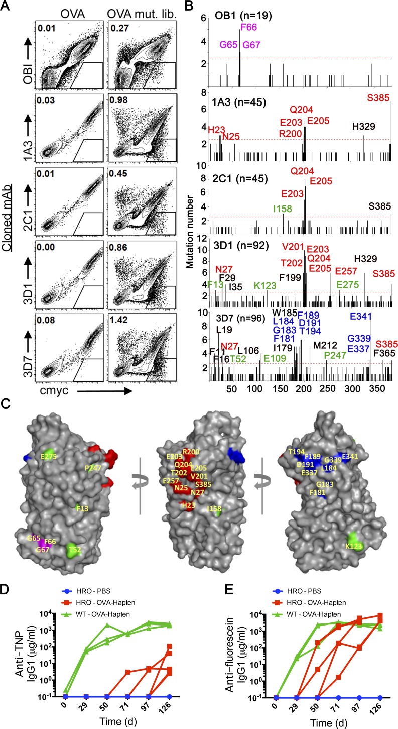 Figure 4.